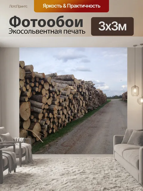 Фотообои Лес