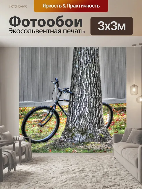 Фотообои Велосипед, прислоненный к дереву
