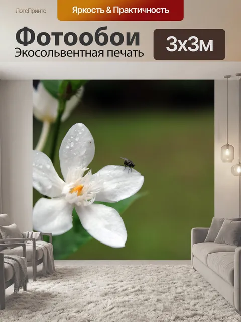 Фотообои летать в цветок