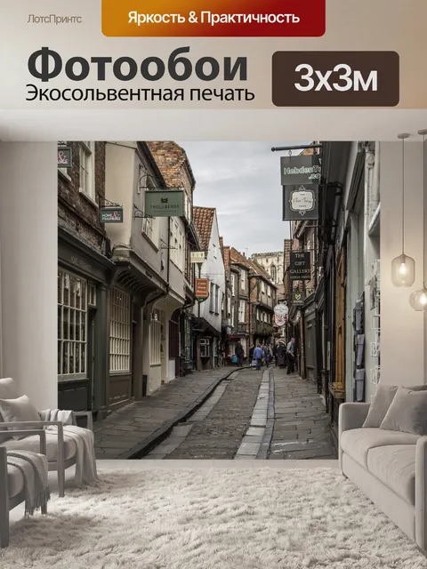 Фотообои Шамблес в Йорке