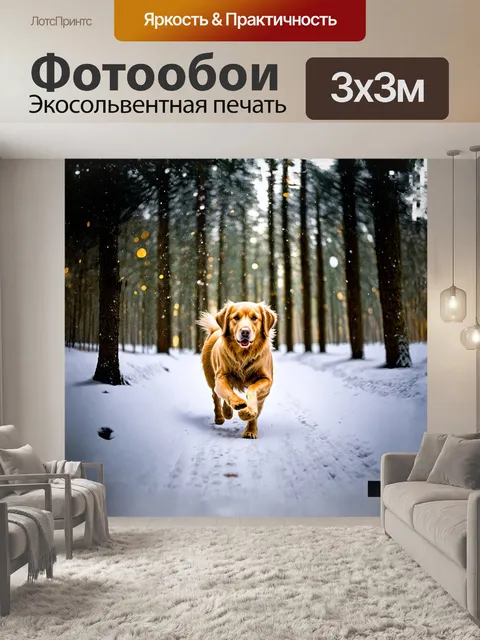 Фотообои золотистый ретривер, уверенно бегающий по тропинке в заснеженном лесу