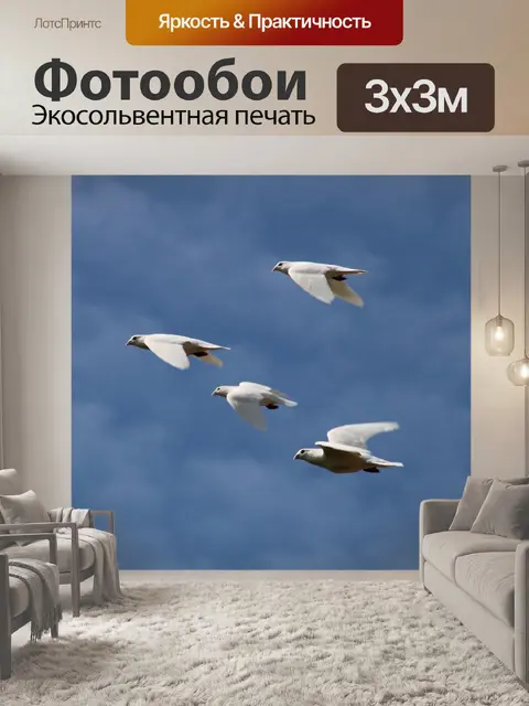 Фотообои Белые голуби