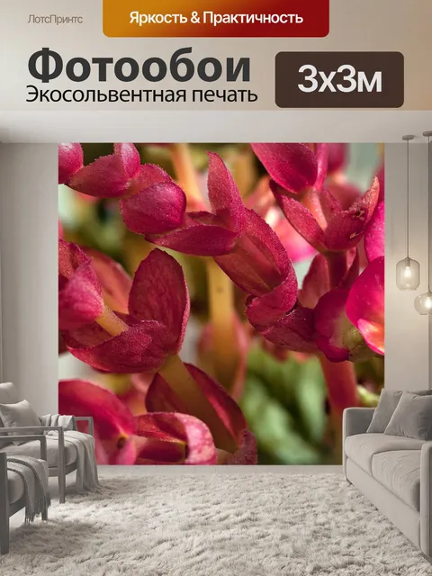 Фотообои Цветы