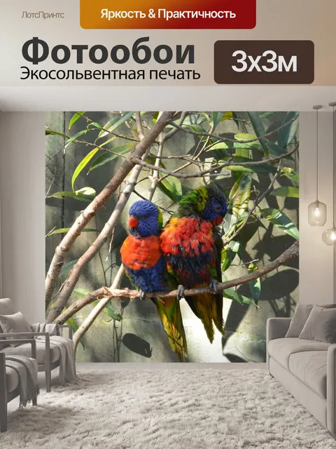 Фотообои Люблю птиц