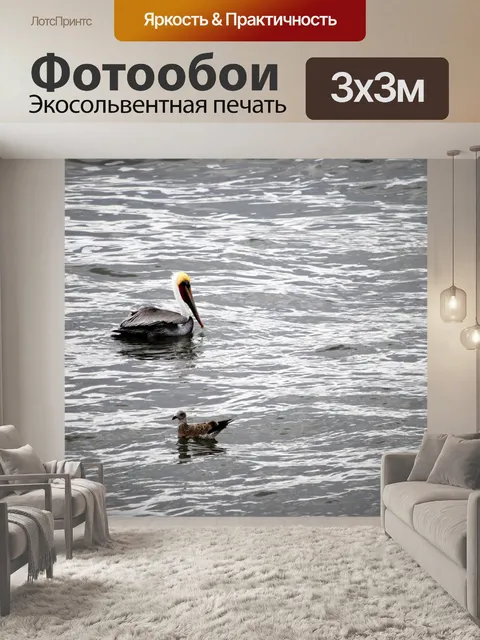 Фотообои Пеликан и Чайка в море