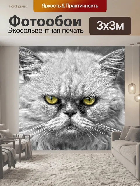 Фотообои Golden Cat Eyes