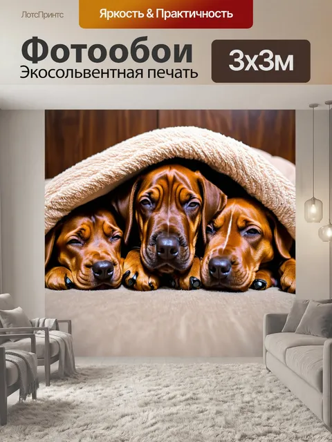 Фотообои щенки брадодаунда, нежно спящие под одеялом, с мирными лицами