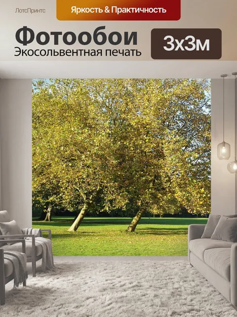 Фотообои Написал