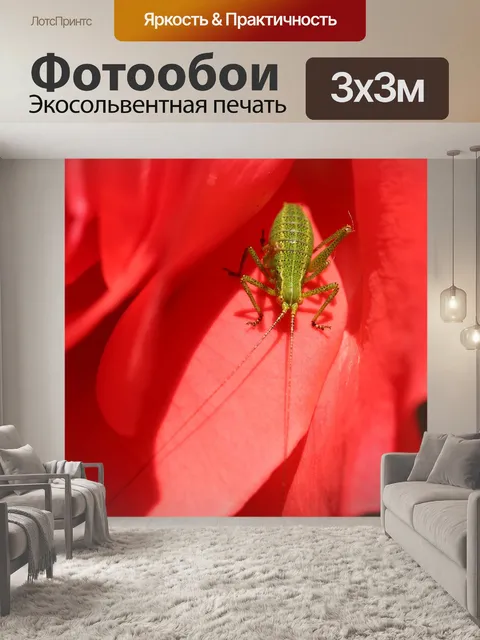 Фотообои Гриль