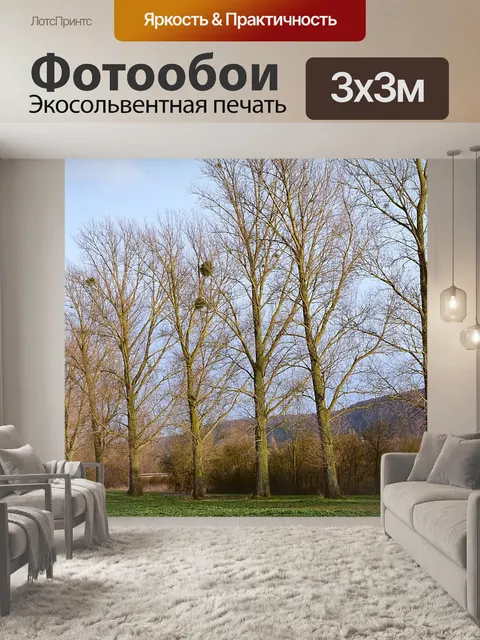 Фотообои Деревья