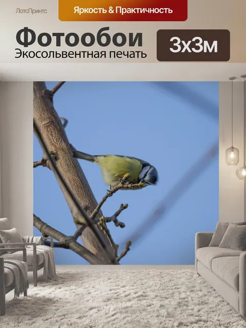 Фотообои Великая Тит
