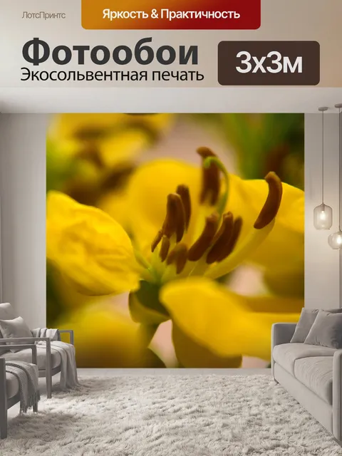 Фотообои Бутербродные цветы 5