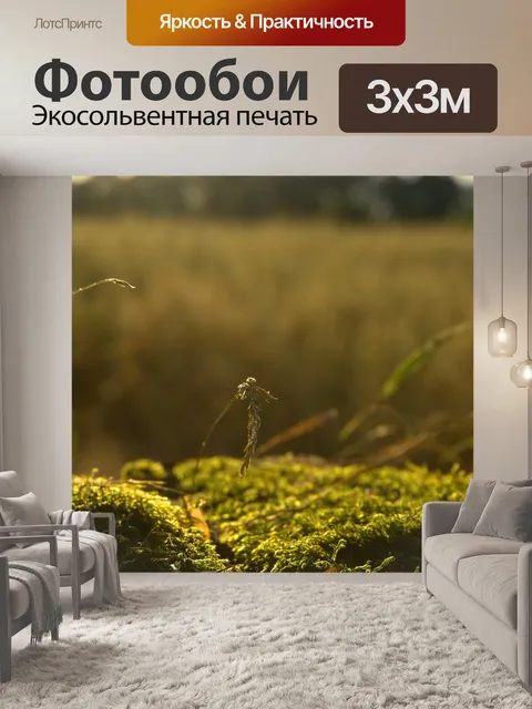 Фотообои Мох