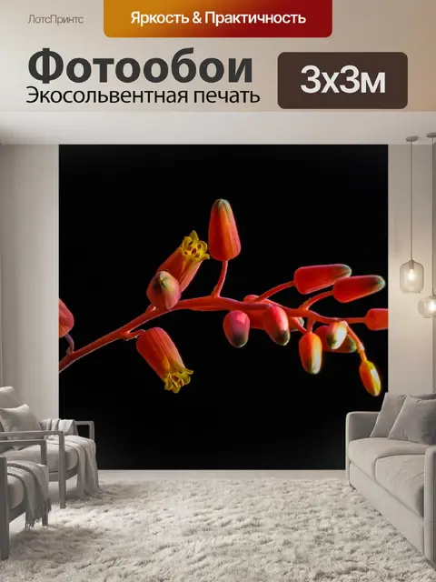 Фотообои Цвести