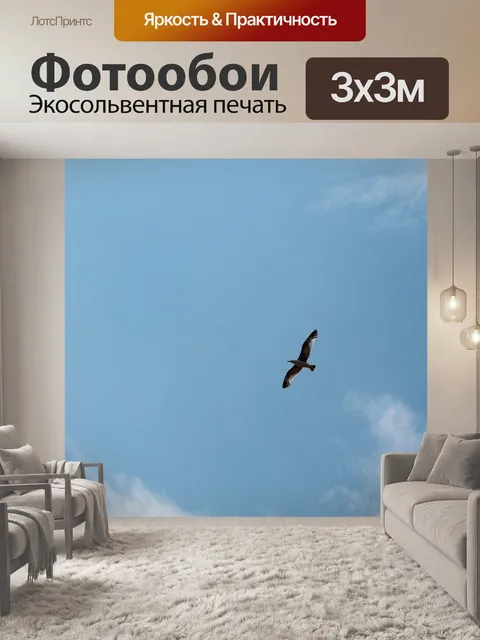 Фотообои Птица