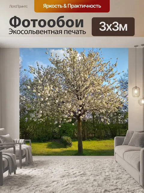 Фотообои Дерево