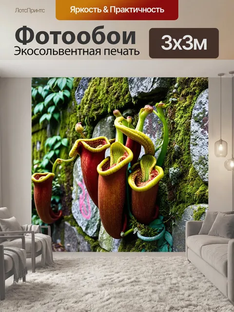 Фотообои группа непентесов, растущих на фоне каменных стен ботанического сада будапешта, покрытых мхом и лишайниками