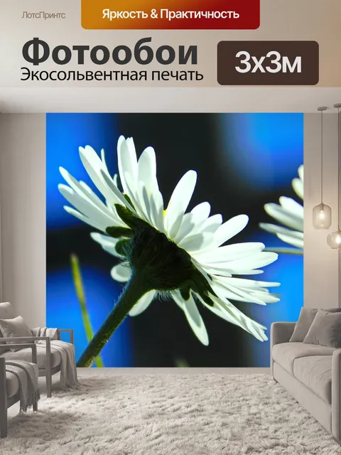 Фотообои Силуэт