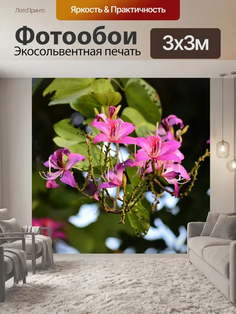 Фотообои Цветы