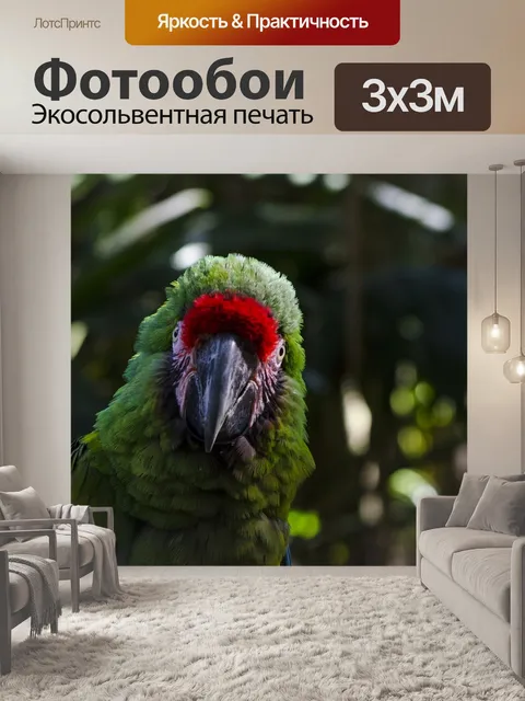 Фотообои Животное