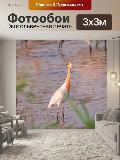Фотообои Птицы
