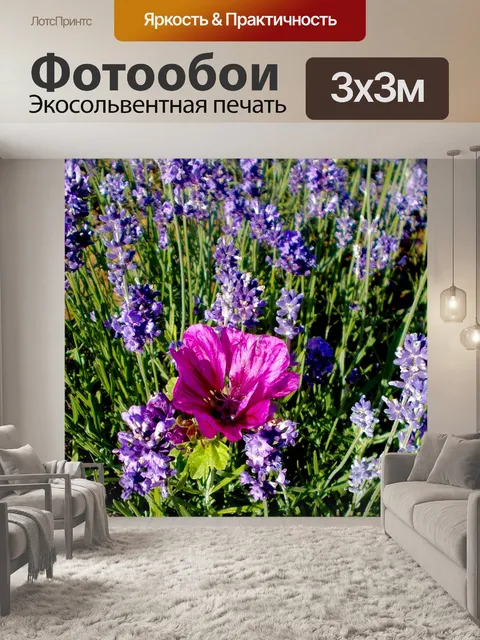 Фотообои Лаванда
