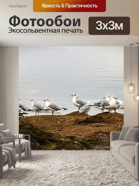 Фотообои Морские чайки в Уотерс-Край 2
