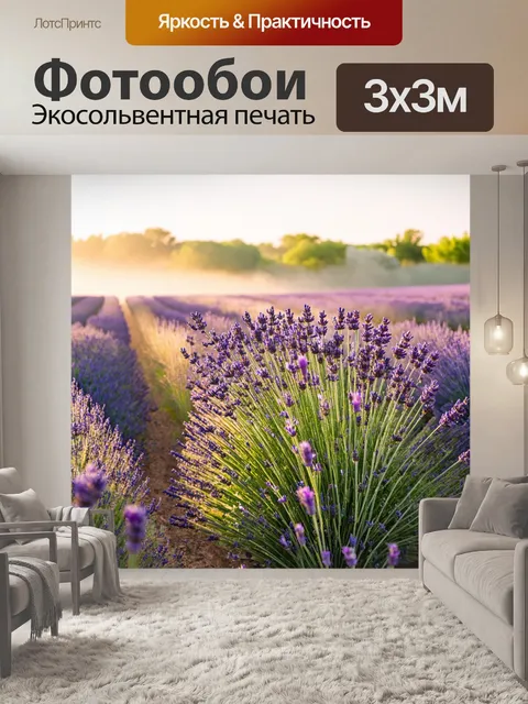 Фотообои прованс показывают солнечное утро
