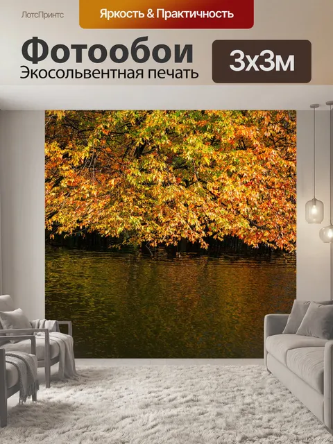 Фотообои осень: покрытые листвой деревья, отражающиеся в спокойной воде