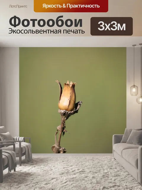Фотообои Мак