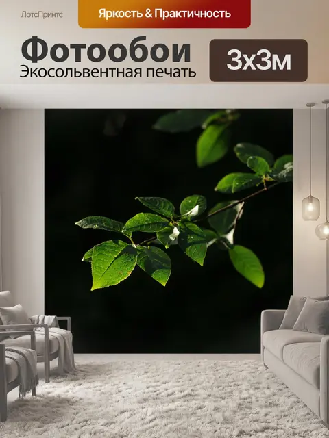 Фотообои Листья