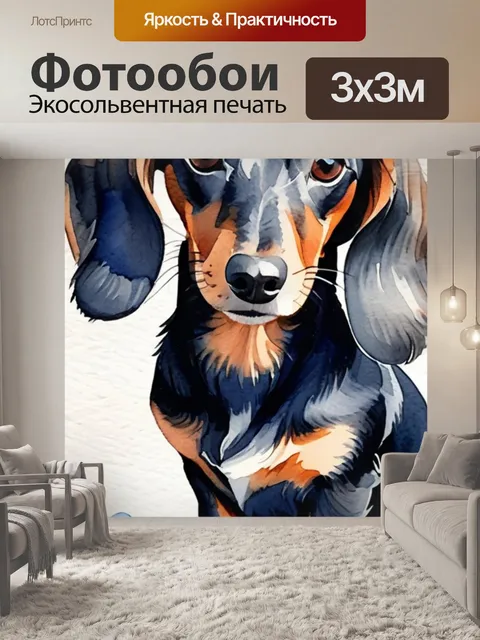 Фотообои собаки такса