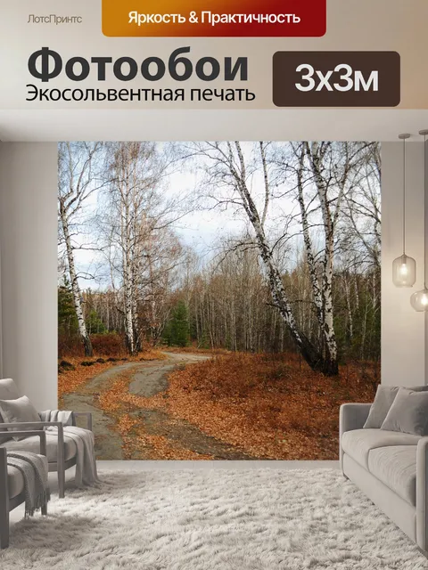 Фотообои Дорога в осеннем лесу