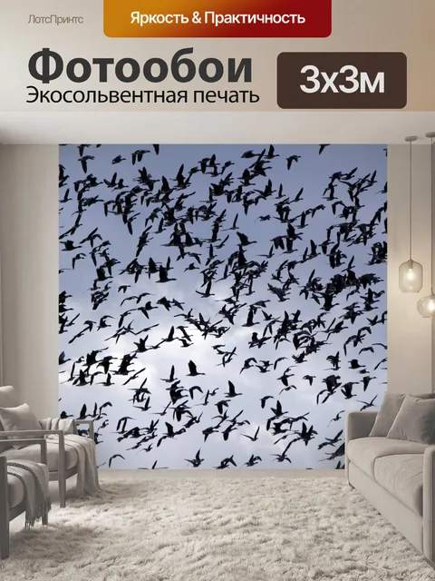 Фотообои Гуси