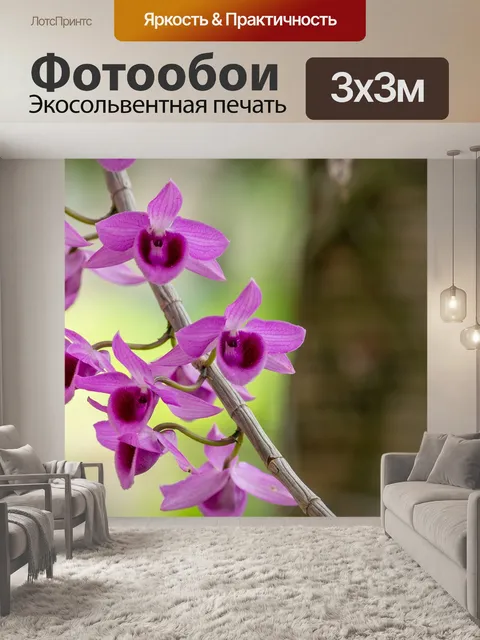 Фотообои Орхидея