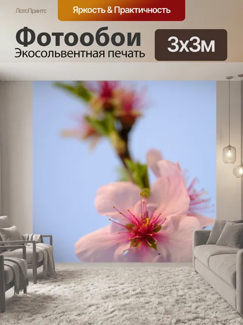 Фотообои Цветок