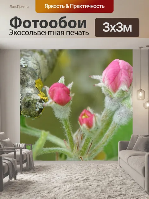 Фотообои Цветок