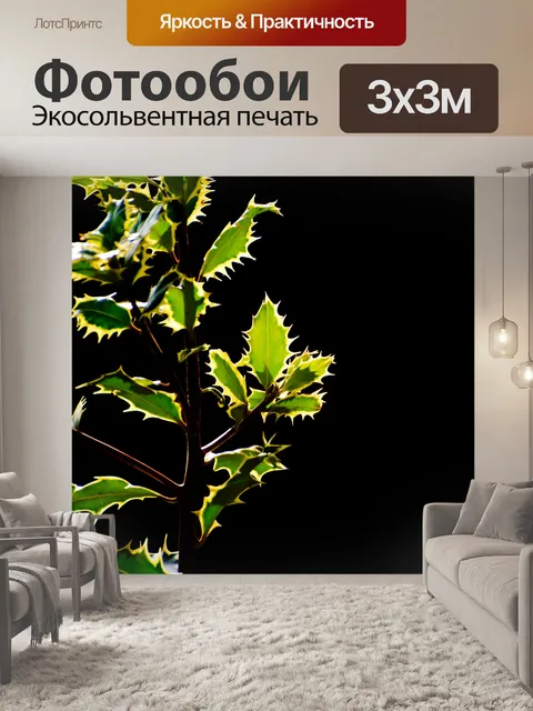 Фотообои Зеленые листья