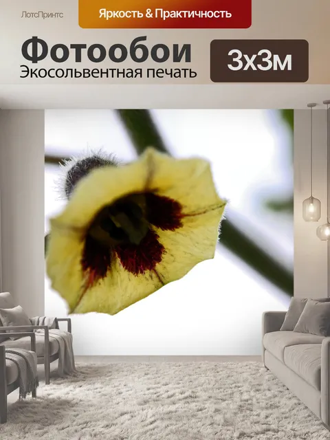 Фотообои бледно-желтый цвет крыжовника