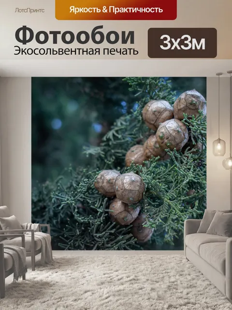 Фотообои Шишки