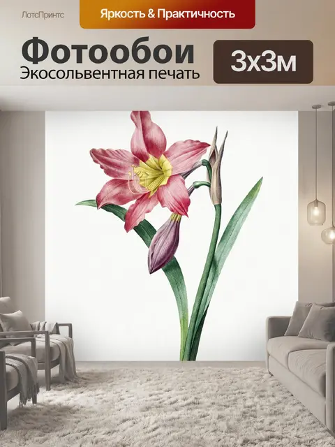 Фотообои Винтажная иллюстрация цветка лилии