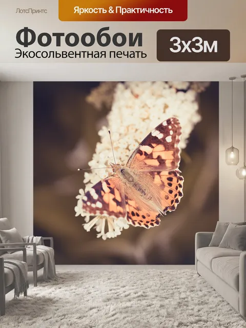 Фотообои Бабочка