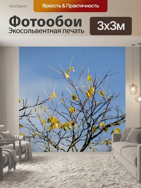 Фотообои Осень