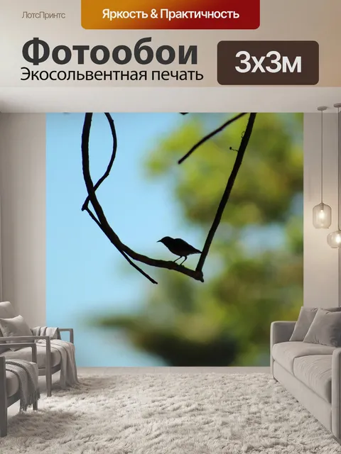 Фотообои Птица