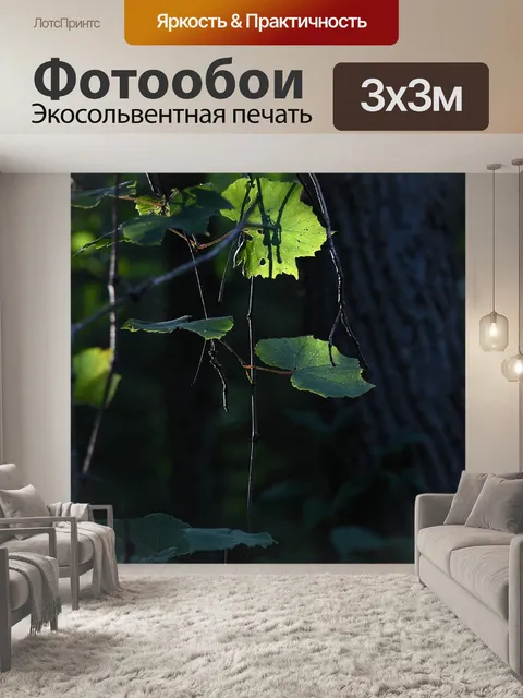 Фотообои Листья