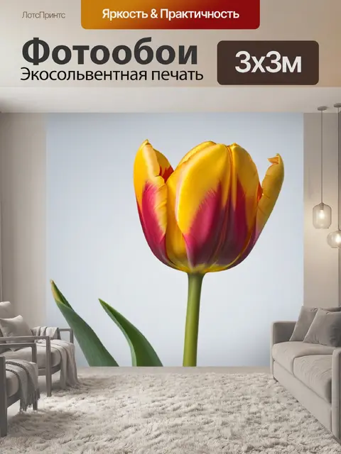 Фотообои минималистичное изображение тюльпана грация