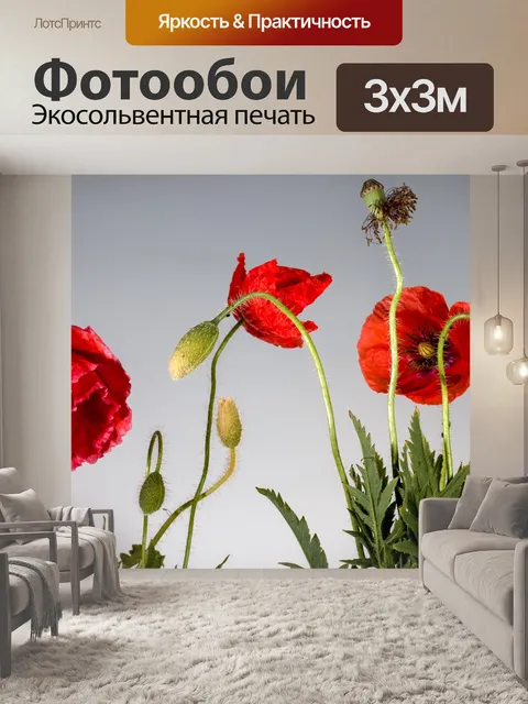 Фотообои Мак