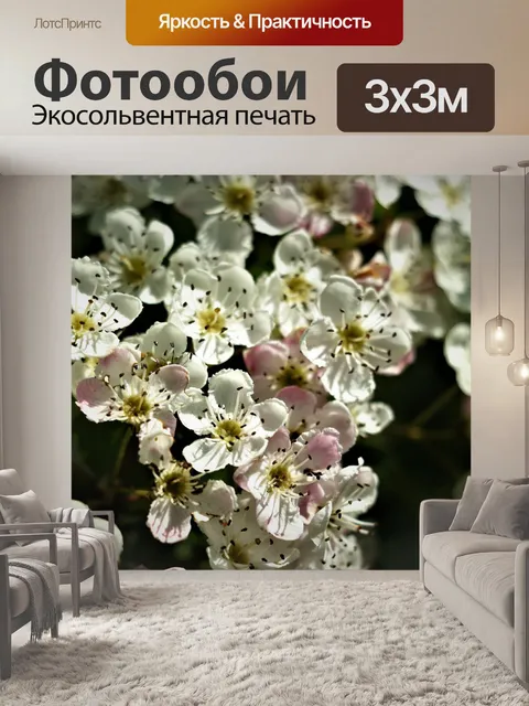 Фотообои Цветы