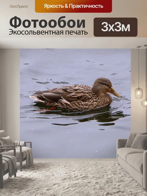 Фотообои Птица