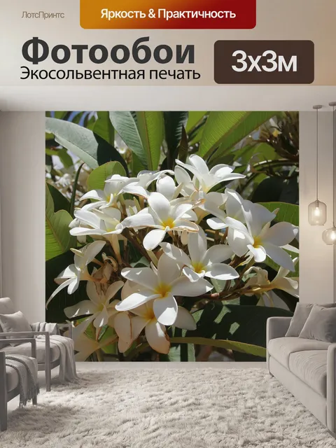 Фотообои Цветы